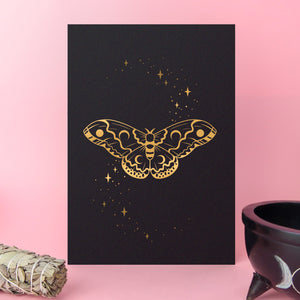 Cecropia Moth Foil Art Print