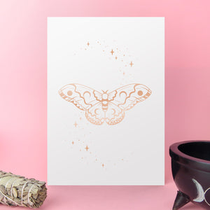 Cecropia Moth Foil Art Print